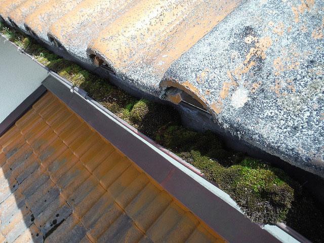 雨樋の破損や詰まりは放っておかずに早目のお手入れを! 雨樋の交換